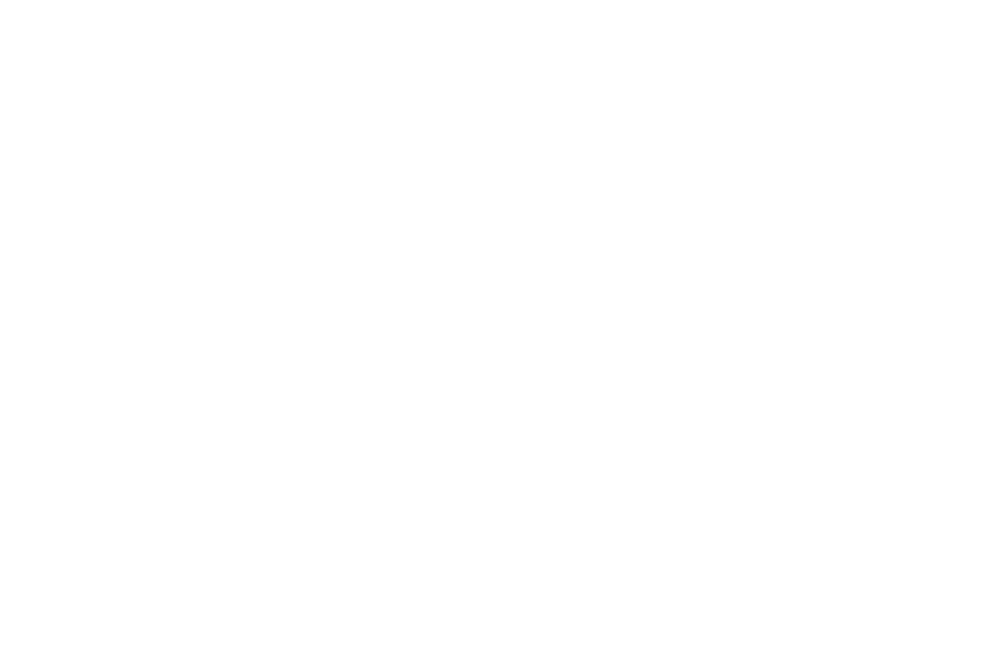 Detektor-Basis.de